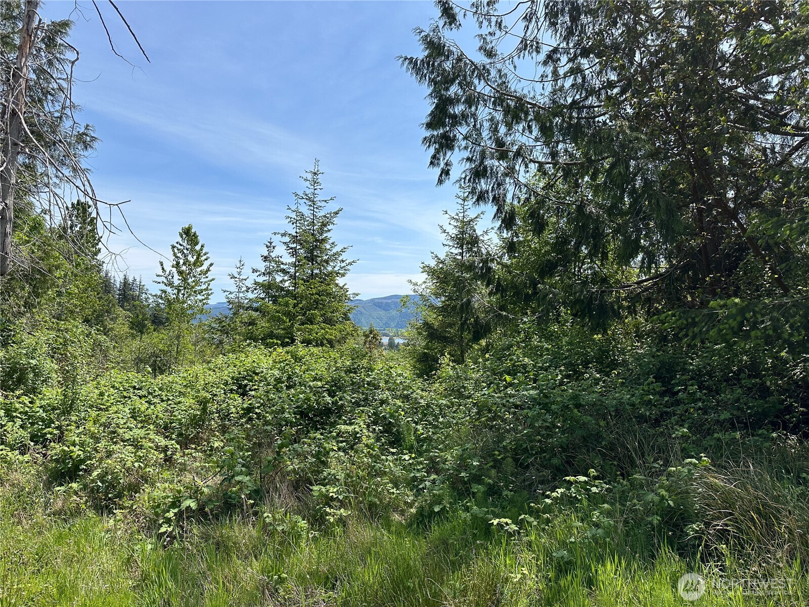 0 Maple Ridge Rd , Cathlamet, WA 98612