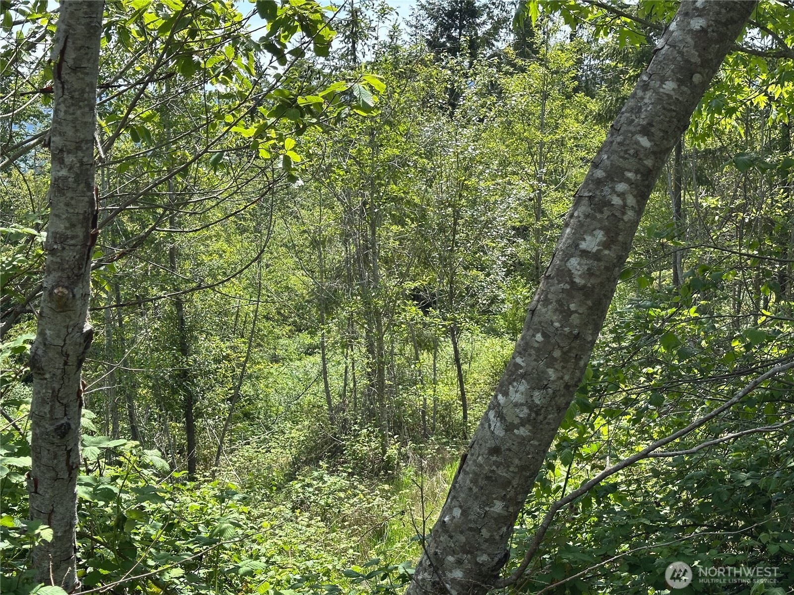 0 Maple Ridge Rd , Cathlamet, WA 98612