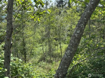 0 Maple Ridge Rd , Cathlamet, WA 98612 - Photo 11