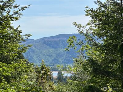 0 Maple Ridge Rd , Cathlamet, WA 98612 - Photo 2