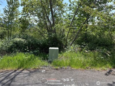 0 Maple Ridge Rd , Cathlamet, WA 98612 - Photo 6