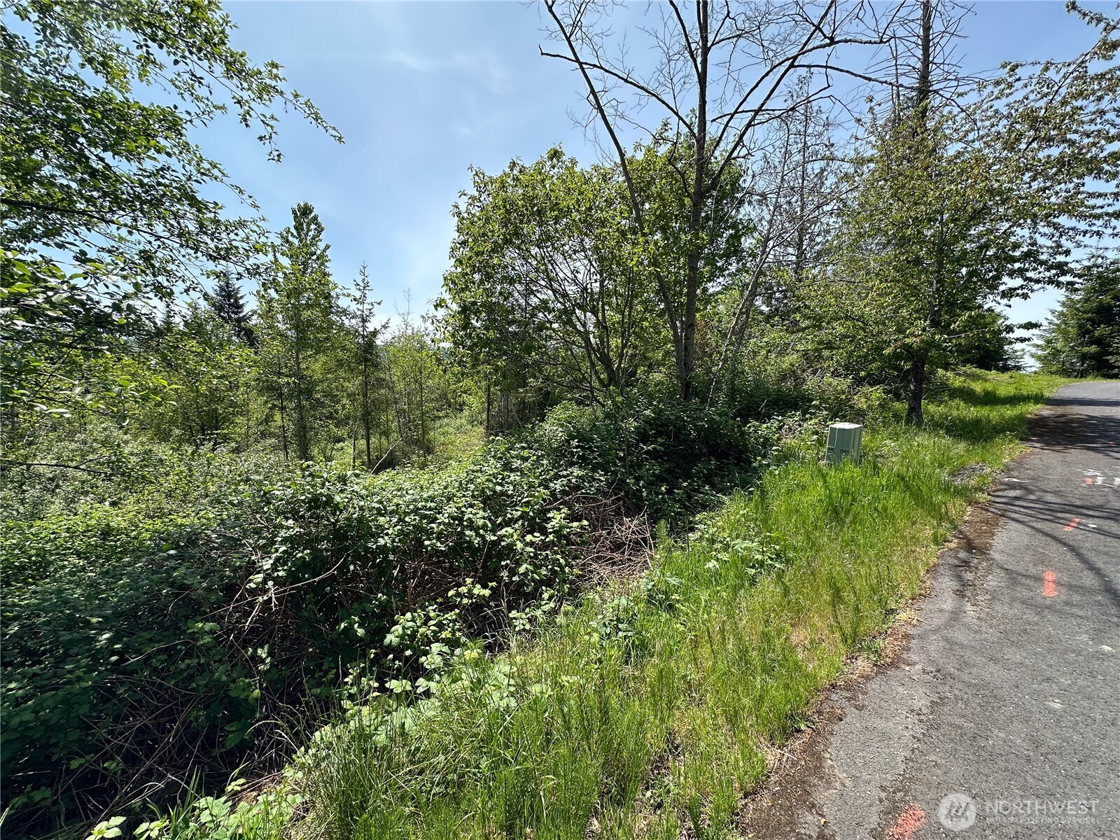 0 Maple Ridge Rd , Cathlamet, WA 98612
