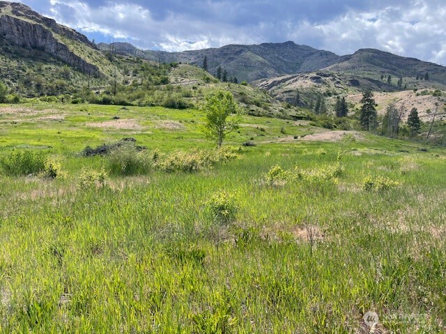 0 Lot 4 Black Canyon Road , Pateros, WA 98846
