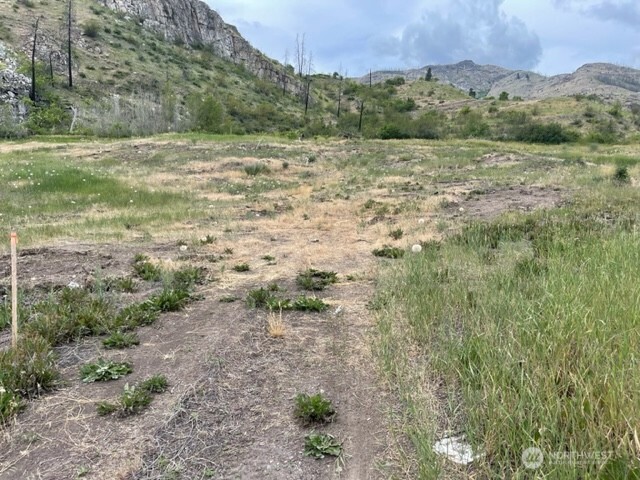 0 Lot 4 Black Canyon Road , Pateros, WA 98846