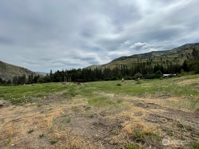 0 Lot 4 Black Canyon Road , Pateros, WA 98846