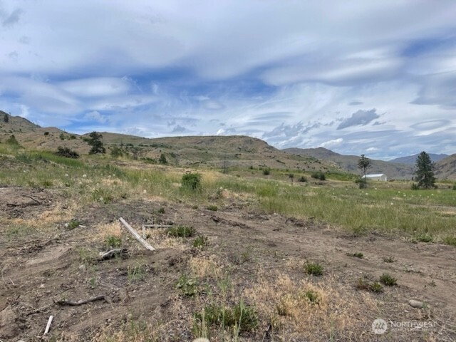 0 Lot 4 Black Canyon Road , Pateros, WA 98846