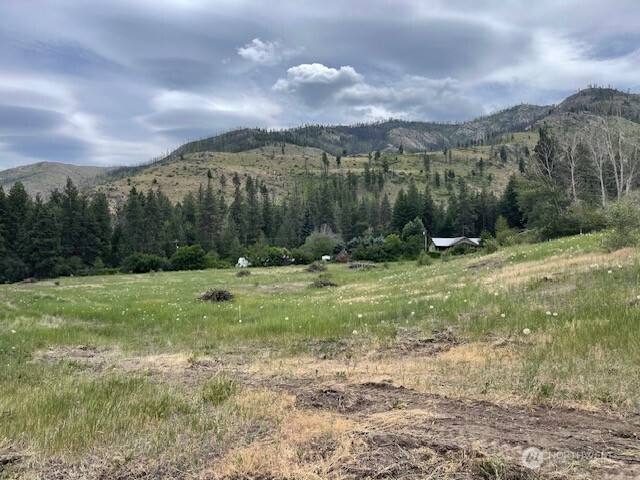 0 Lot 4 Black Canyon Road , Pateros, WA 98846