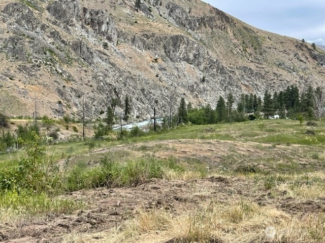 0 Lot 4 Black Canyon Road , Pateros, WA 98846
