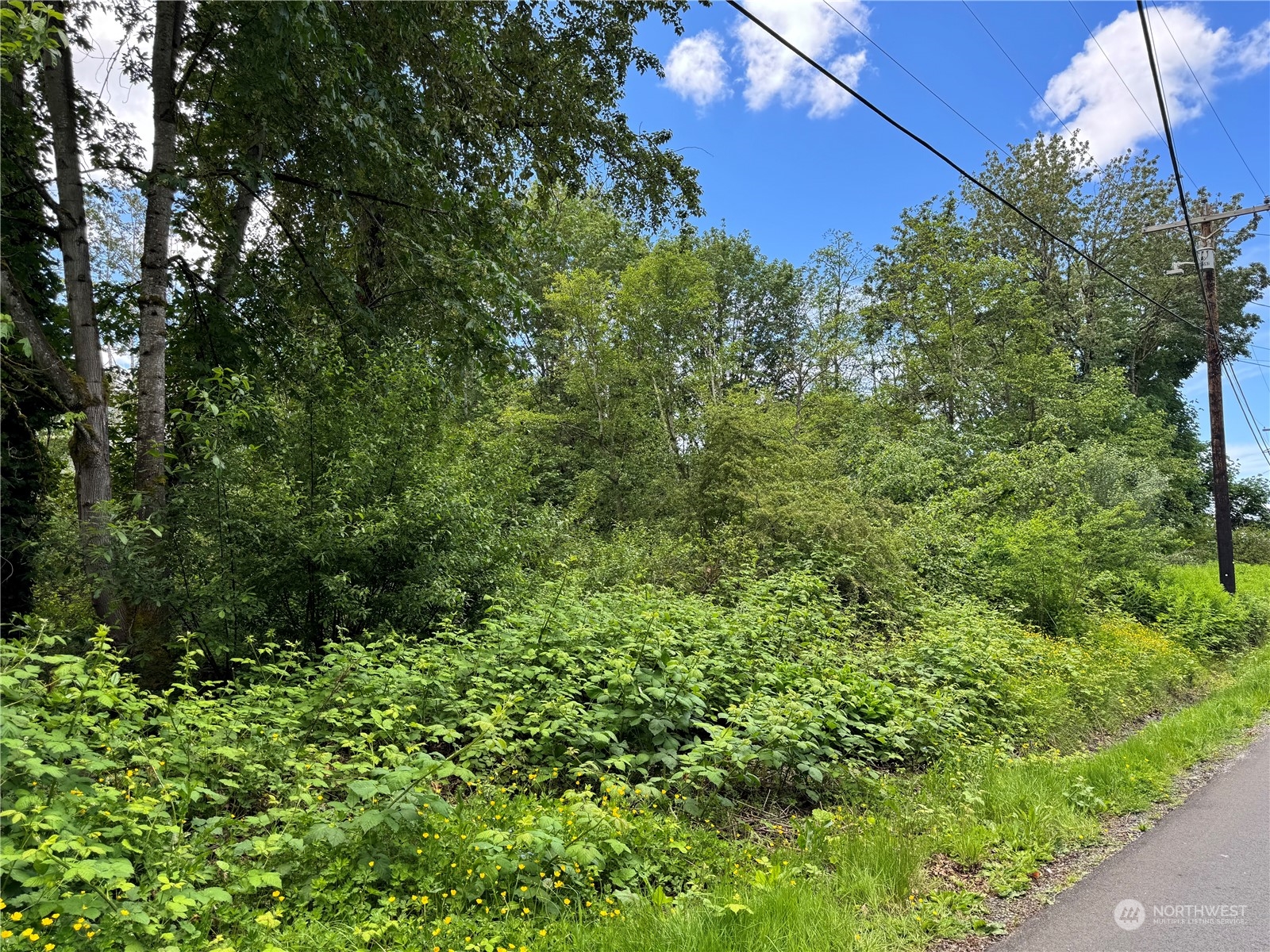 1410 169th Place SW, Lynnwood, WA 98037