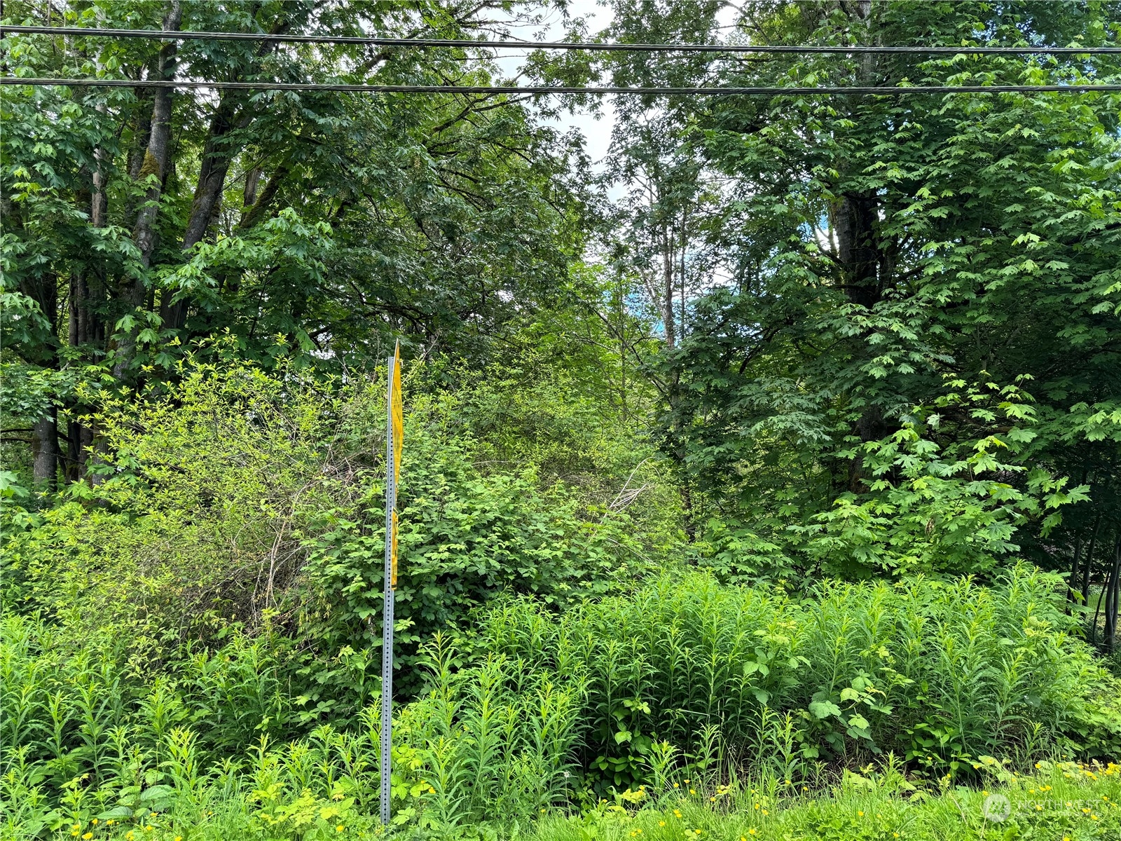 1410 169th Place SW, Lynnwood, WA 98037