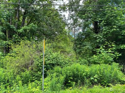 1410 169th Place SW, Lynnwood, WA 98037 - Photo 2