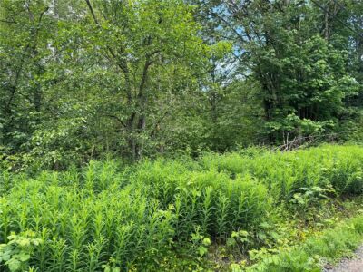 1410 169th Place SW, Lynnwood, WA 98037 - Photo 3