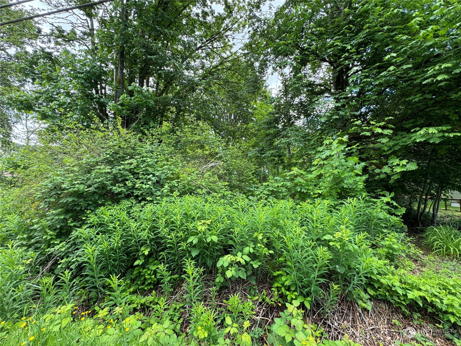 1410 169th Place SW, Lynnwood, WA 98037