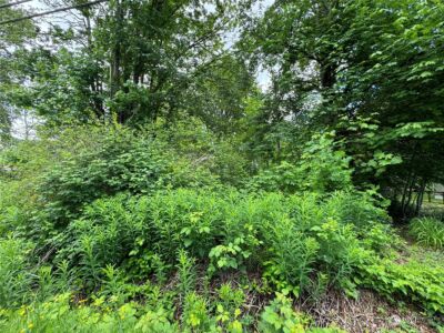 1410 169th Place SW, Lynnwood, WA 98037 - Photo 6