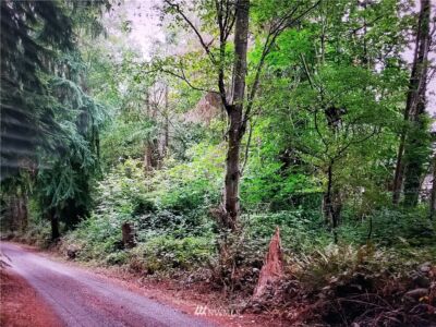 317 xx 51st Avenue SW, Federal Way, WA 98023