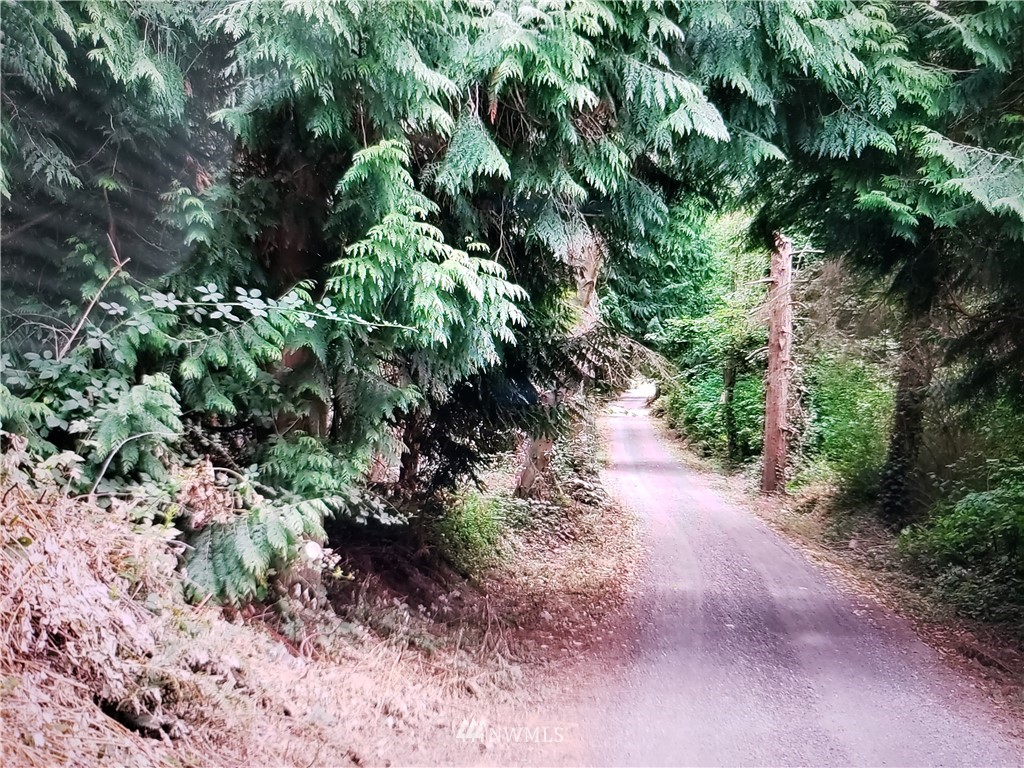 317 xx 51st Avenue SW, Federal Way, WA 98023