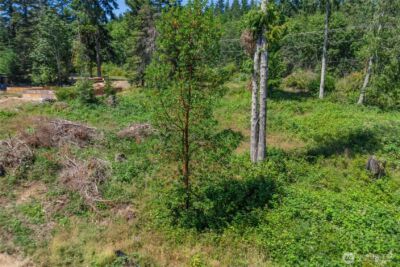 0 Linda View Drive , Port Ludlow, WA 98365 - Photo 4