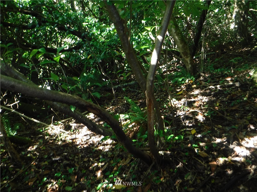 0 Adams Street , Hoquiam, WA 98550