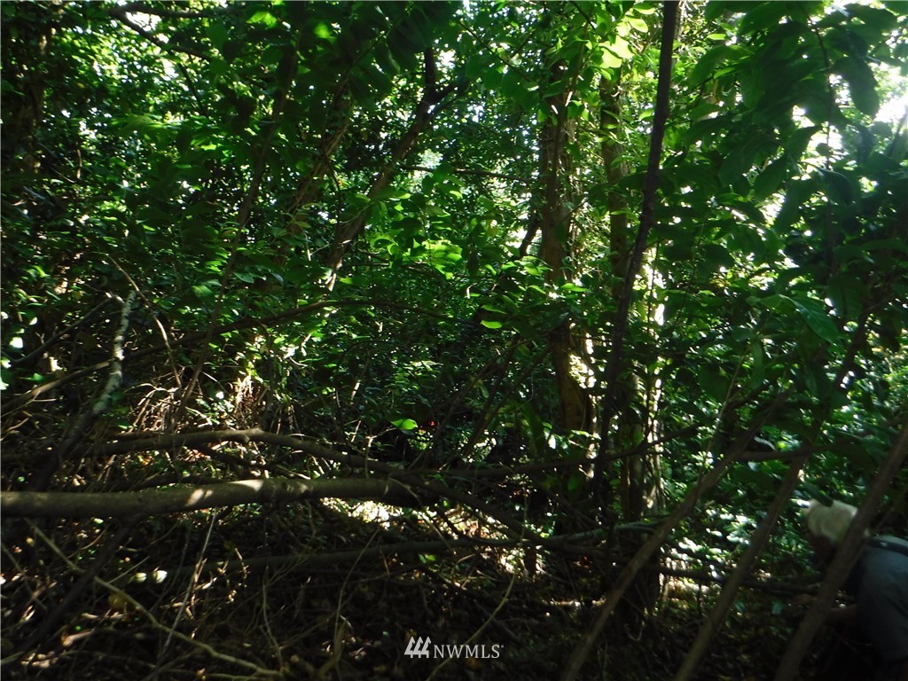 0 Adams Street , Hoquiam, WA 98550