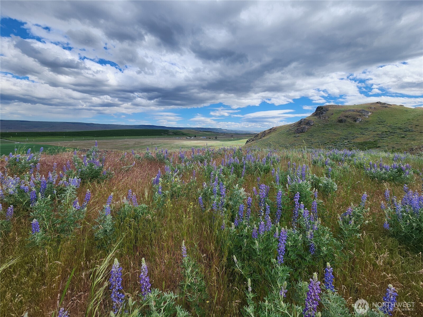 0 Old Hwy 97 , Brewster, WA 98812