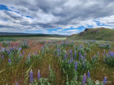 0 Old Hwy 97 , Brewster, WA 98812 - Photo 6