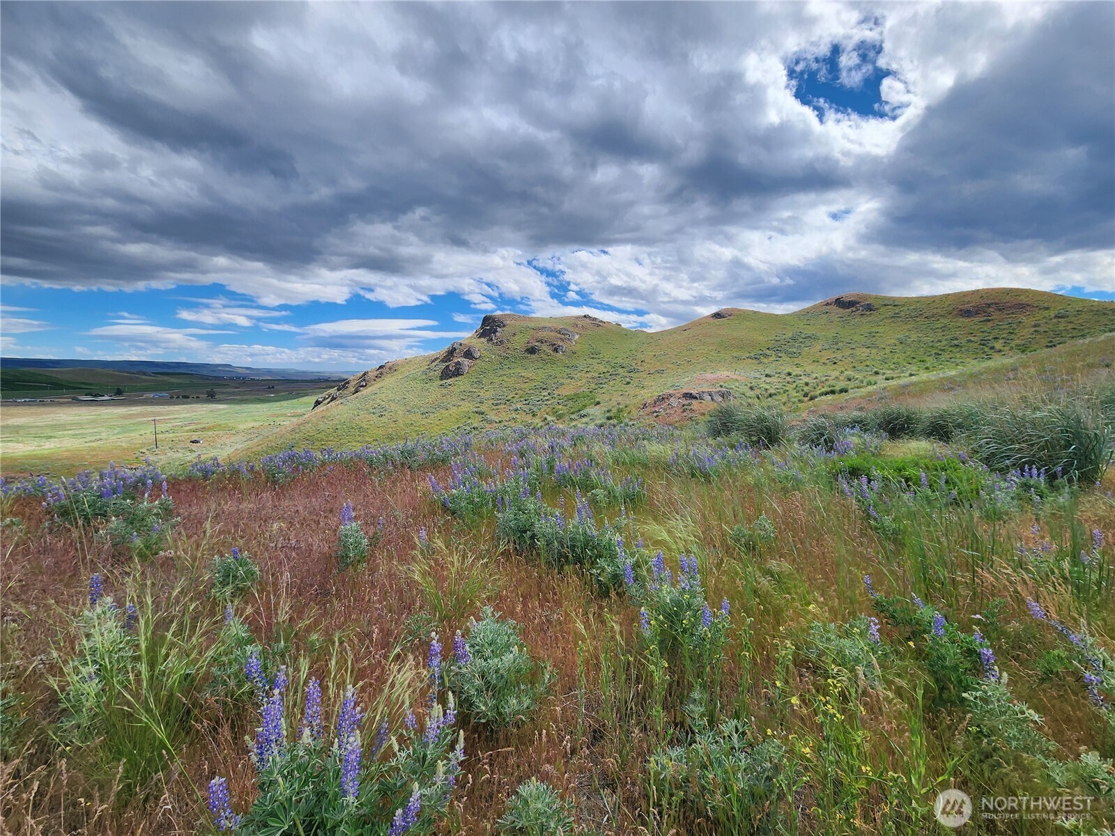 0 Old Hwy 97 , Brewster, WA 98812