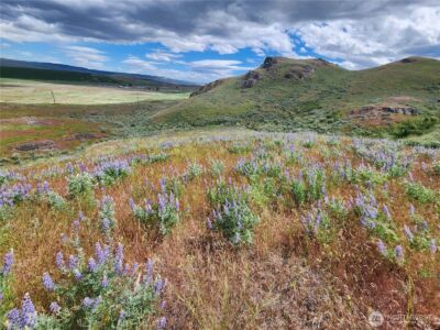 0 Old Hwy 97 , Brewster, WA 98812 - Photo 8