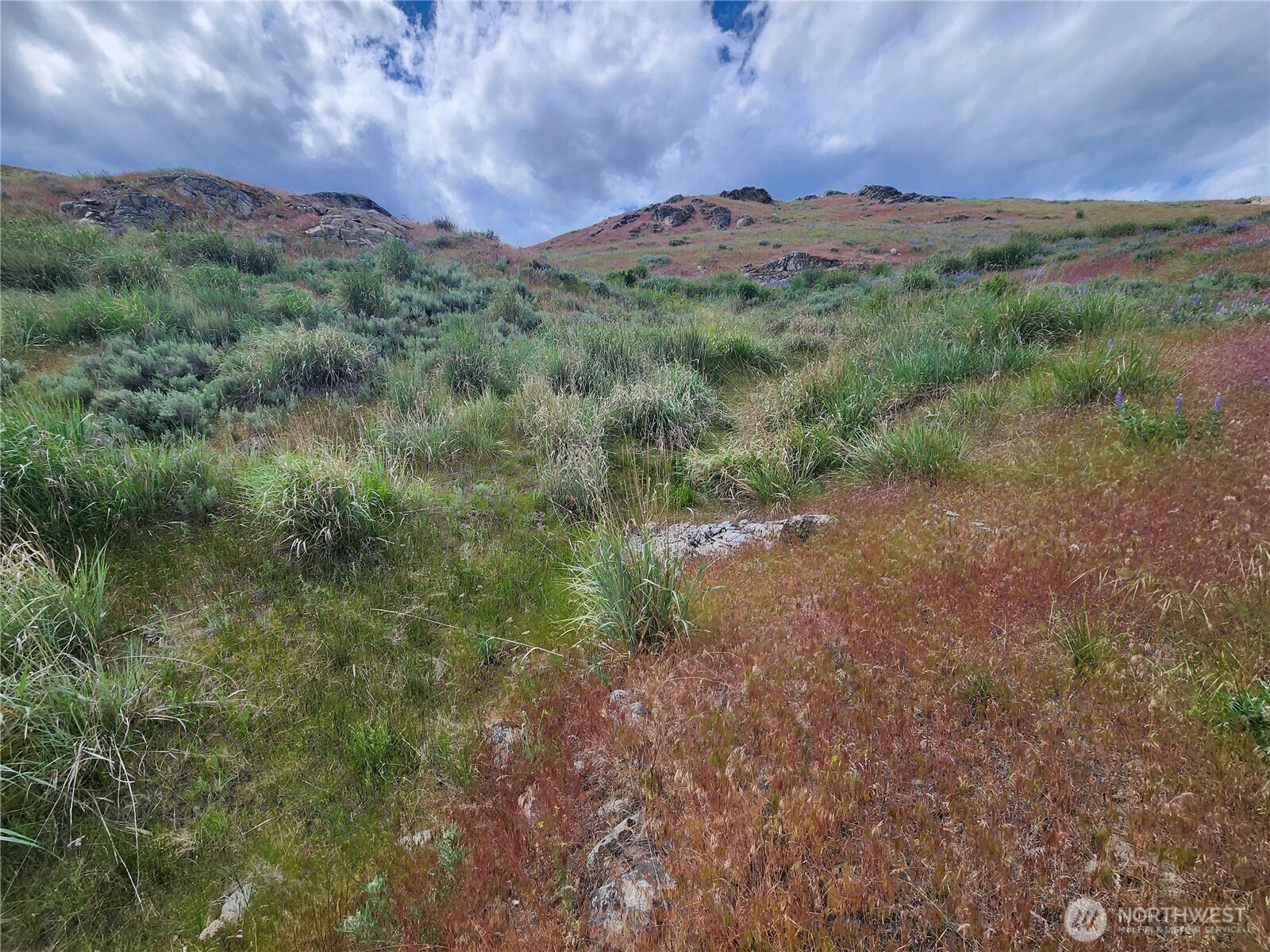 0 Old Hwy 97 , Brewster, WA 98812