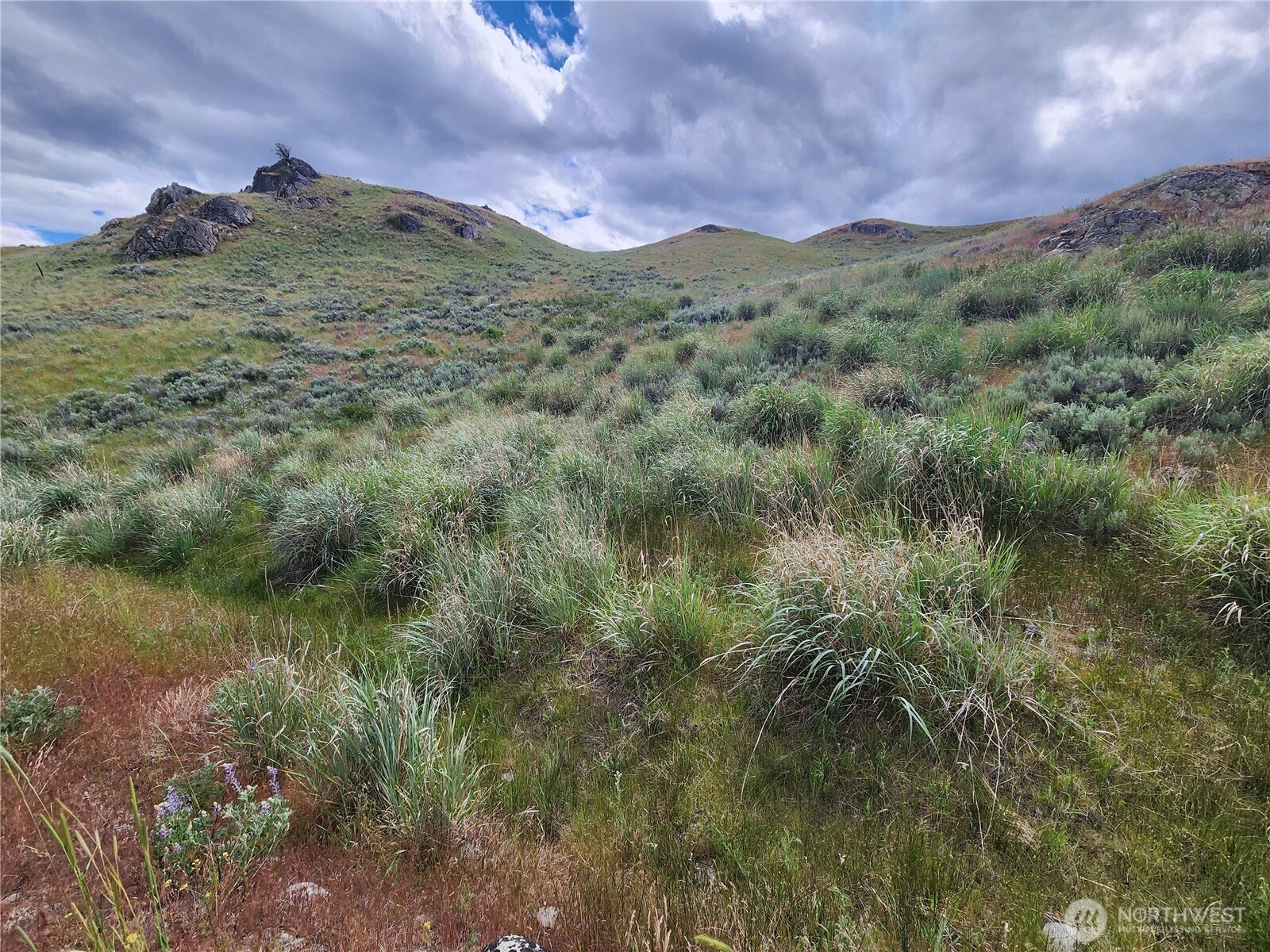 0 Old Hwy 97 , Brewster, WA 98812