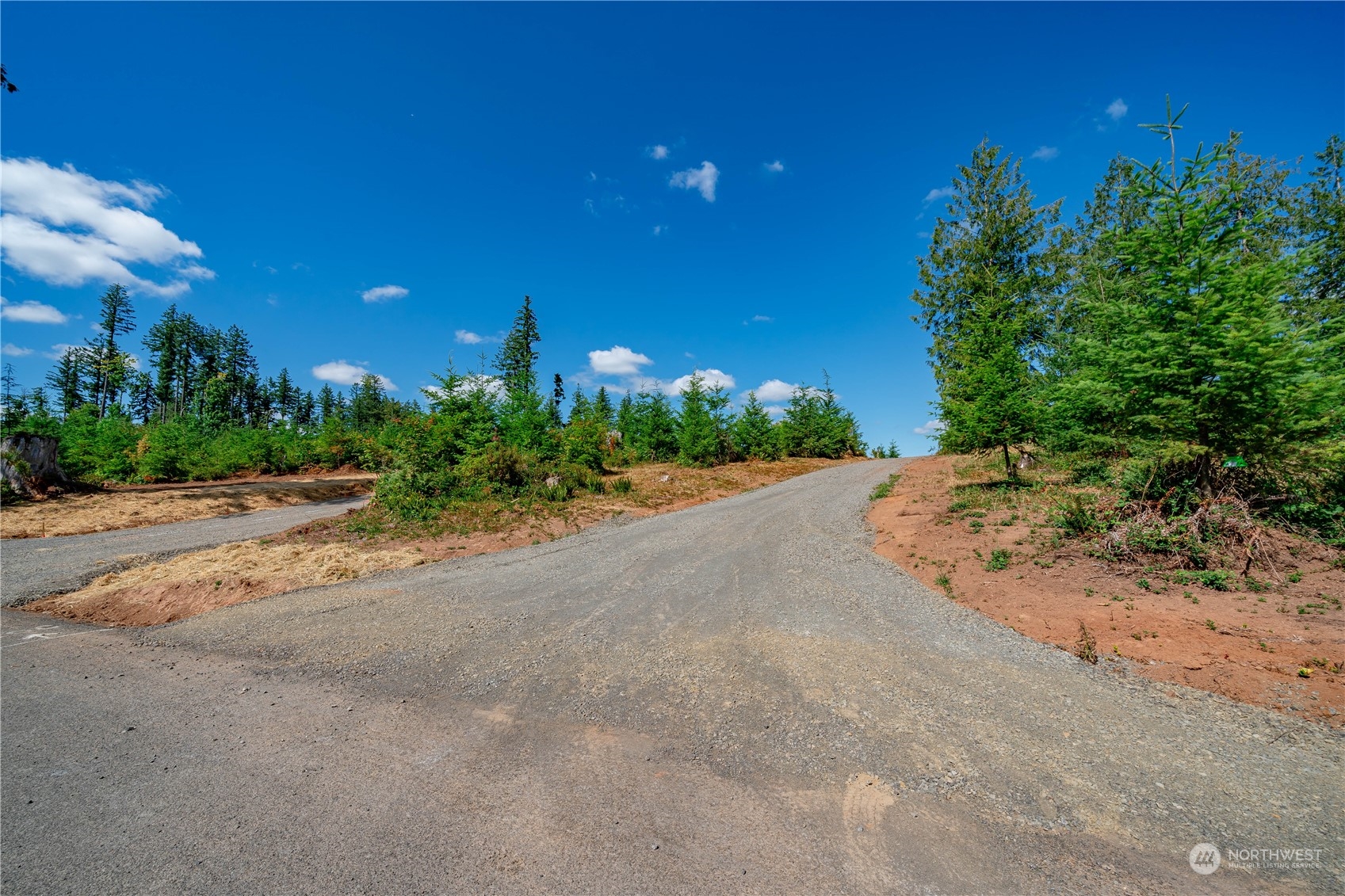 0 S Silver Lake Lot 5 Road , Castle Rock, WA 98611