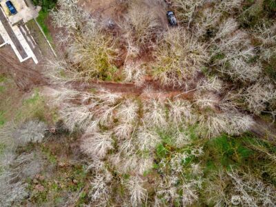 13500 NE 406th Street , Amboy, WA 98601 - Photo 12