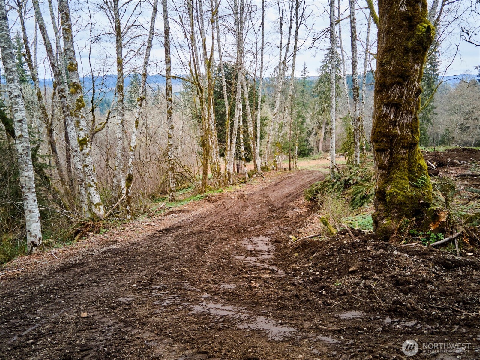 13500 NE 406th Street , Amboy, WA 98601