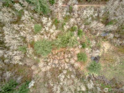 13500 NE 406th Street , Amboy, WA 98601 - Photo 20