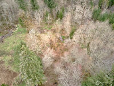 13500 NE 406th Street , Amboy, WA 98601 - Photo 2