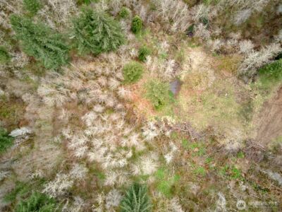 13500 NE 406th Street , Amboy, WA 98601 - Photo 21