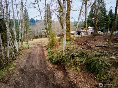 13500 NE 406th Street , Amboy, WA 98601 - Photo 22