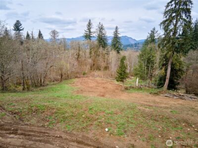 13500 NE 406th Street , Amboy, WA 98601 - Photo 24