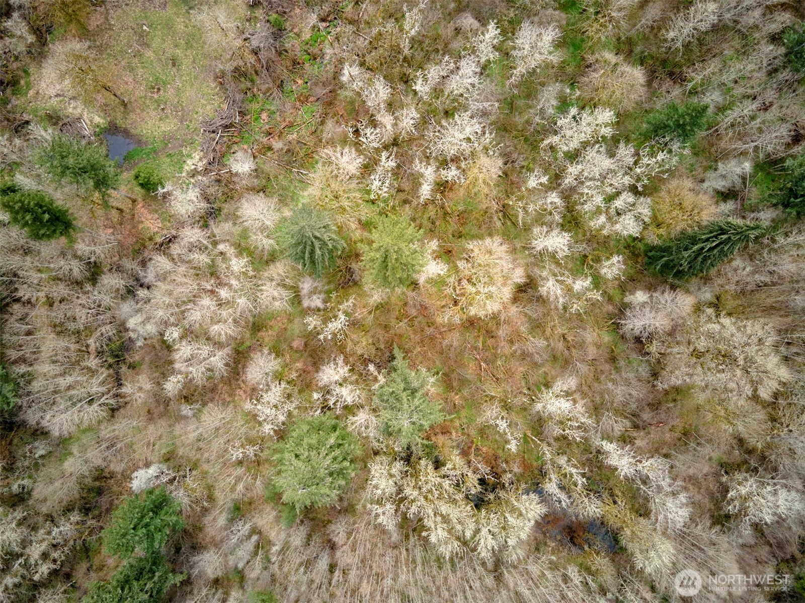 13500 NE 406th Street , Amboy, WA 98601