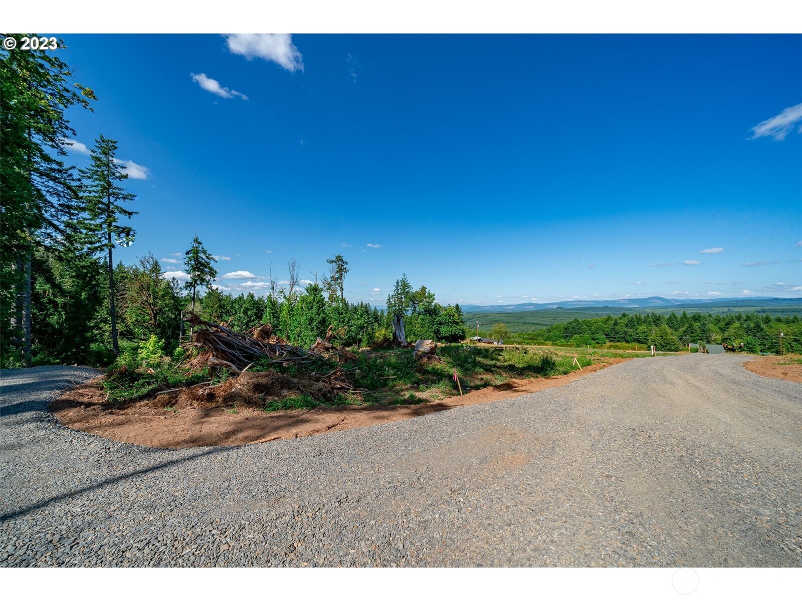 0 S Silver Lake Lot #1 Road , Castle Rock, WA 98611