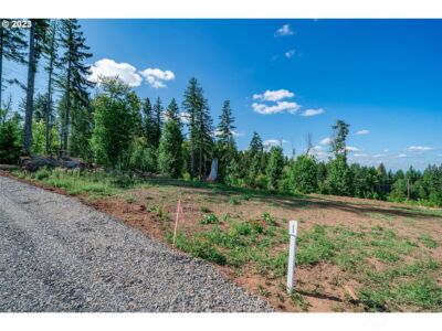 0 S Silver Lake Lot #1 Road , Castle Rock, WA 98611 - Photo 2