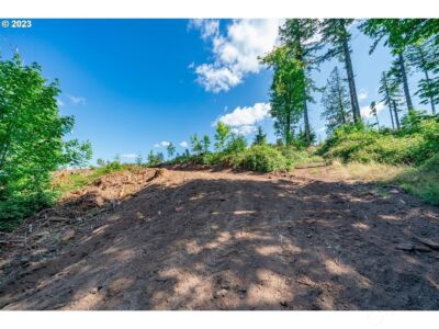 0 S Silver Lake Lot #1 Road , Castle Rock, WA 98611 - Photo 3