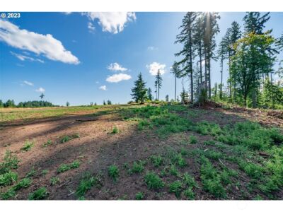 0 S Silver Lake Lot #1 Road , Castle Rock, WA 98611 - Photo 4