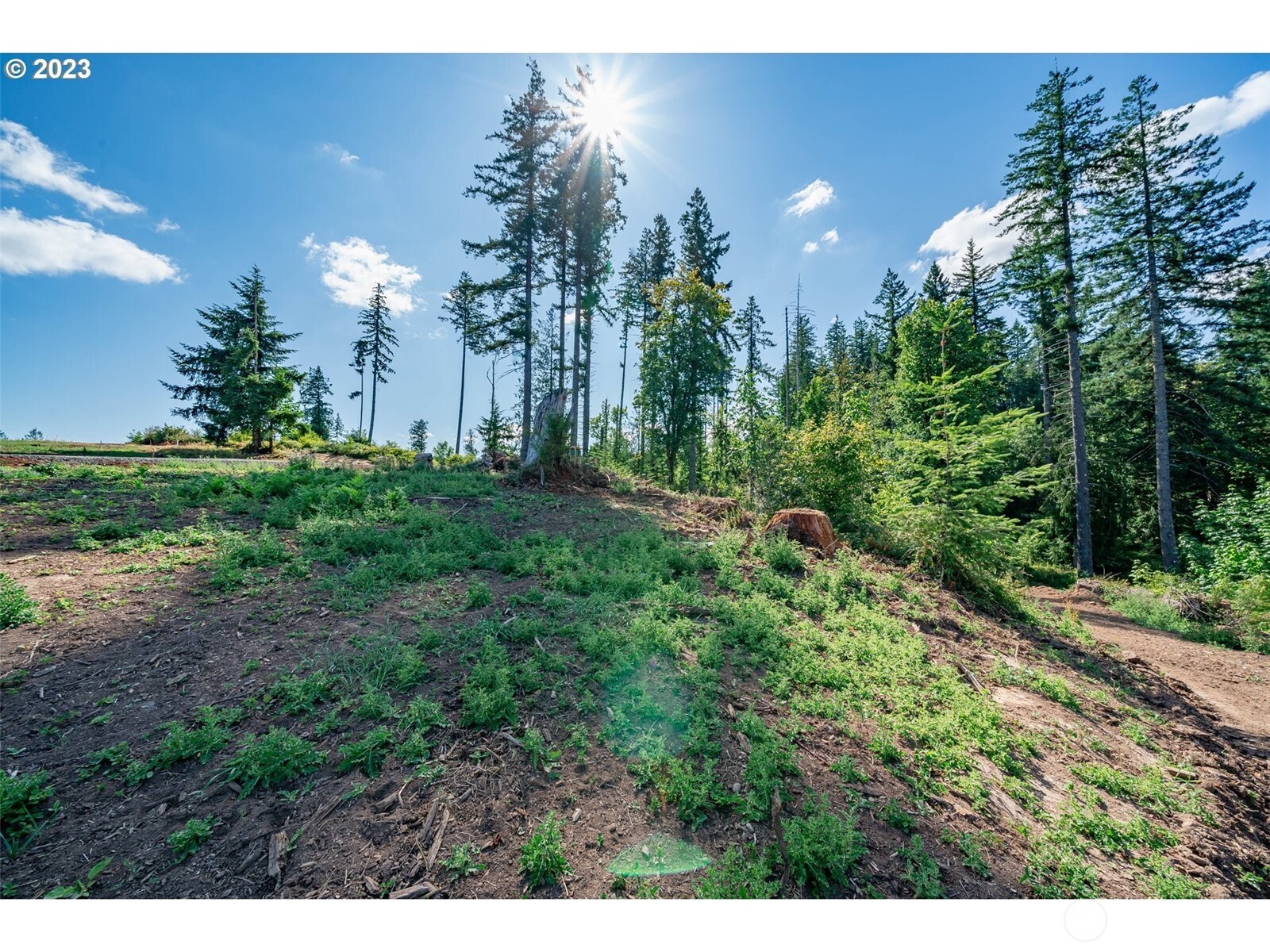 0 S Silver Lake Lot #1 Road , Castle Rock, WA 98611