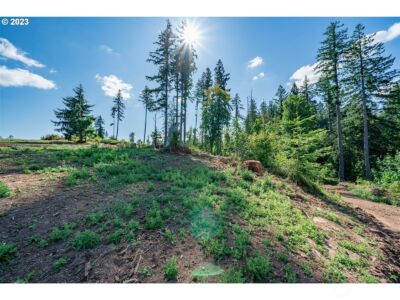 0 S Silver Lake Lot #1 Road , Castle Rock, WA 98611 - Photo 5
