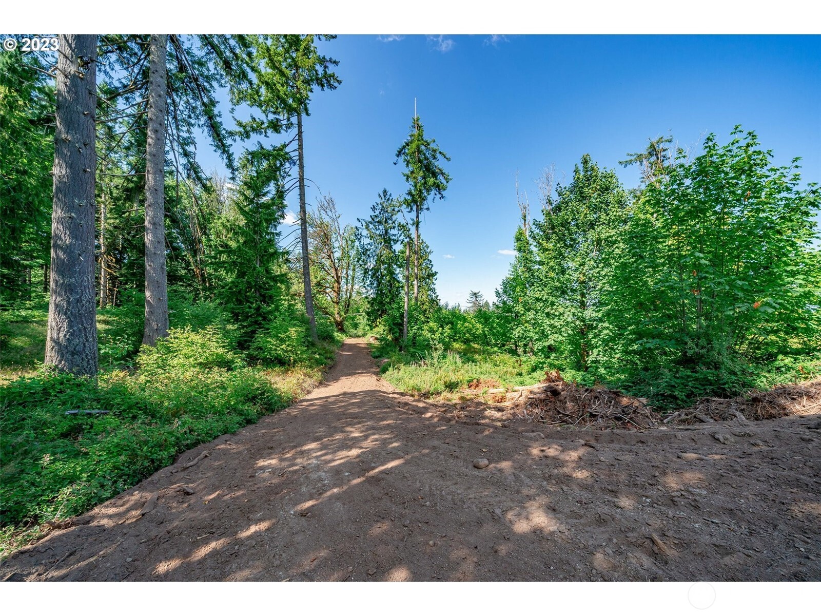 0 S Silver Lake Lot #1 Road , Castle Rock, WA 98611