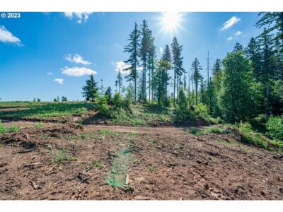 0 S Silver Lake Lot #1 Road , Castle Rock, WA 98611 - Photo 7