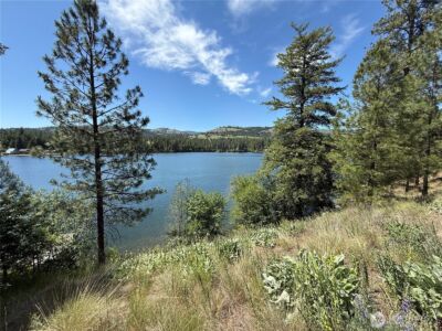 0 Dollar Bar Beach Road , Republic, WA 99166 - Photo 5