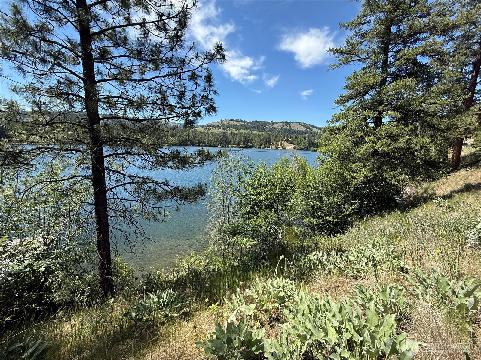 0 Dollar Bar Beach Road , Republic, WA 99166