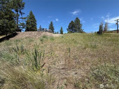 0 Dollar Bar Beach Road , Republic, WA 99166 - Photo 7