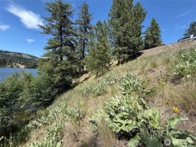 0 Dollar Bar Beach Road , Republic, WA 99166 - Photo 8